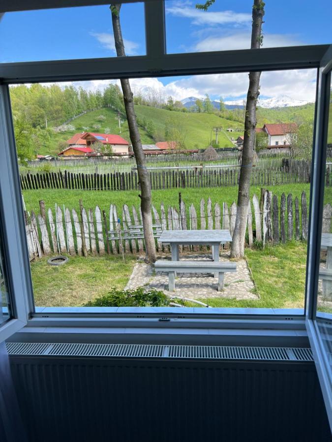 Green Garden Petroşani Eksteriør bilde
