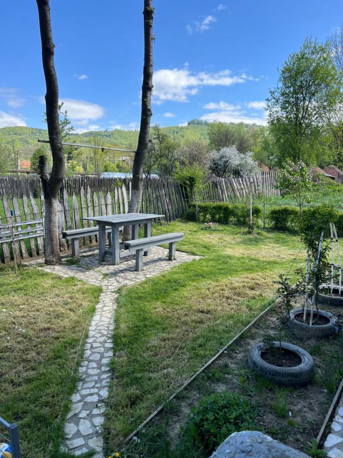 Green Garden Petroşani Eksteriør bilde